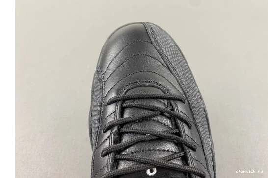 Jordan Master 12    Retro The 130690--013 130690-013 0106